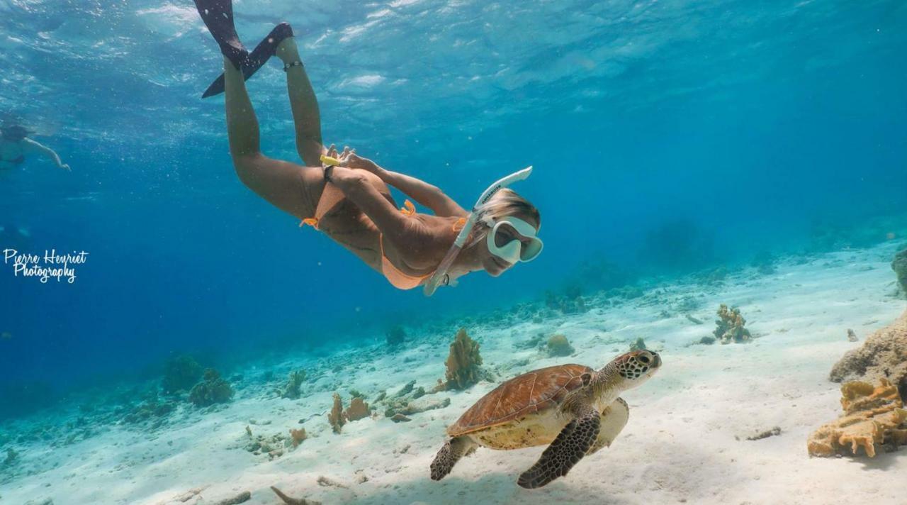 Bamboo Bonaire By Boutique Bonaire Unique Resorts Кралендижк Екстериор снимка